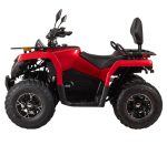 Квадроцикл BIZON YK250 Lux EFI — изображение 5