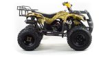 Квадроцикл MOTOLAND 150 Maverick — изображение 4