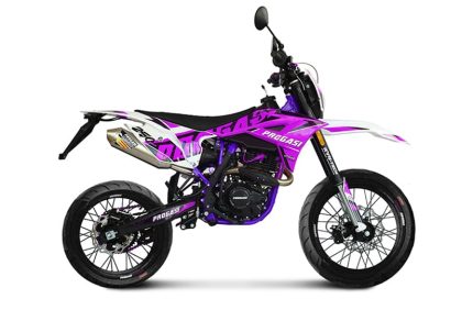 Мотоцикл ПРОГАСИ Super Max 250 SM ENDURO