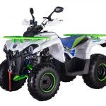 Квадроцикл ROCKOT Hammer 200 Premium