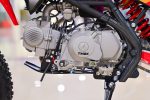 Мотоцикл TMBK Pitster SP1 150 Biggy — изображение 11