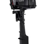 2х-тактный лодочный мотор PARSUN T5BMS