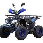 Квадроцикл UNIVERSAL ATV 125 TM Fusion plus