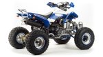 Квадроцикл MOTOLAND 250 Dakar — изображение 7