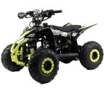 Квадроцикл MOTOLAND Raptor 110