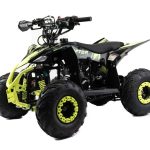 Квадроцикл MOTOLAND Raptor 110