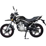 Мотоцикл REGULMOTO SK200-9 — изображение 2
