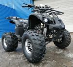 Квадроцикл RAPTOR Max Pro 150 — изображение 4