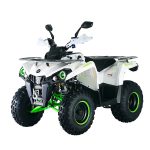 Квадроцикл MIKILON Hammer 200L Pro-R