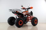 Квадроцикл MOTAX ATV T-Rex Super LUX 50 cc — изображение 7