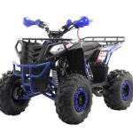 Квадроцикл MOTAX Grizlik A125