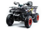 Квадроцикл MOTOLAND 200 Wild Track X Pro (2022) — изображение 3