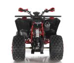 Квадроцикл WELS ATV Thunder 200 Evo X — изображение 6