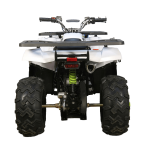 Квадроцикл AVANTIS H200 NEW (Баланс. вал) — изображение 2