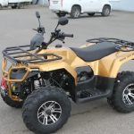 Квадроцикл IRBIS ATV 250 Premium