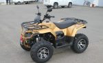 Квадроцикл IRBIS ATV 250 Premium