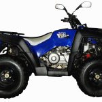 Квадроцикл ADLY 320 U 2WD (с цепным приводом)