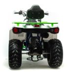 Квадроцикл MOTOLAND 200 Shark (2021 Г.) — изображение 5