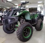 Квадроцикл ATV Avenger Evo — изображение 2