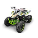 Квадроцикл YACOTA Typhoon 250