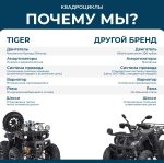Квадроцикл TIGER Max Grade 300 — изображение 27