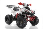 Квадроцикл MOTAX ATV Raptor Super LUX 125 cc — изображение 6