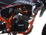 Мотоцикл ПРОГАСИ Palma 250 SE (165FMM) 21/18 ENDURO — изображение 5