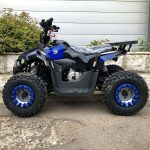 Квадроцикл YACOTA Raposa — изображение 4