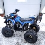 Квадроцикл MOTOLAND 125 Fox A — изображение 7