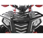 Квадроцикл WELS Thunder EVO X — изображение 7