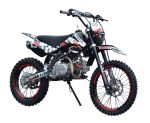 Мотоцикл REGULMOTO Seven Medalist 19/16 PITBIKE — изображение 6