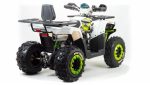 Квадроцикл MOTOLAND 200 Wild Track Lux ( Баланс. вал) (2021 Г.) — изображение 6