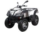 Квадроцикл ADLY Luxury ATV320U 4WD — изображение 2