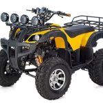 Квадроцикл RAPTOR Max Pro 250 (жёлтый/чёрный) (2024)