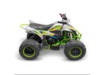 Квадроцикл YACOTA Typhoon 250 — изображение 4