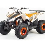 Квадроцикл MOTOLAND 125 Coyote (2021 Г.)