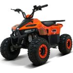 Квадроцикл ATV Giro