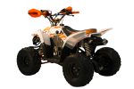 Квадроцикл RACER RC 110 Coyote — изображение 5