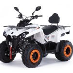Квадроцикл MOTAX ATV Grizlik 200 Ultra