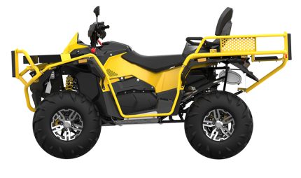 Квадроцикл СТЕЛС ATV 800 Guepard FF Trophy EPS Cargo 2.0 (ПСМ)