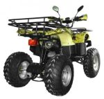 Квадроцикл AVANTIS Hunter 200 Lite — изображение 4