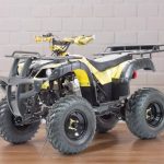 Квадроцикл MOTOLAND ATV 250 ADVENTURE