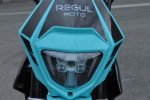 Мотоцикл REGULMOTO Seven Medalist Pro 17/14 PITBIKE — изображение 24