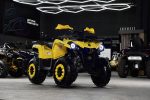Квадроцикл SHARMAX Hummer 300 — изображение 44
