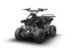 Квадроцикл RAPTOR 150 Universal