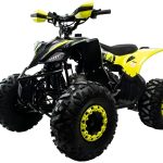 Квадроцикл MOTOLAND VOX125 Raptor