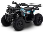 Квадроцикл SHARMAX Activator 250