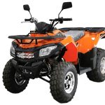 Квадроцикл MOTOLAND ATV 200 Max