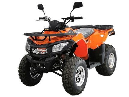 Квадроцикл MOTOLAND ATV 200 Max