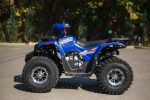 Квадроцикл AVANTIS Hunter 8 New Premium — изображение 4
